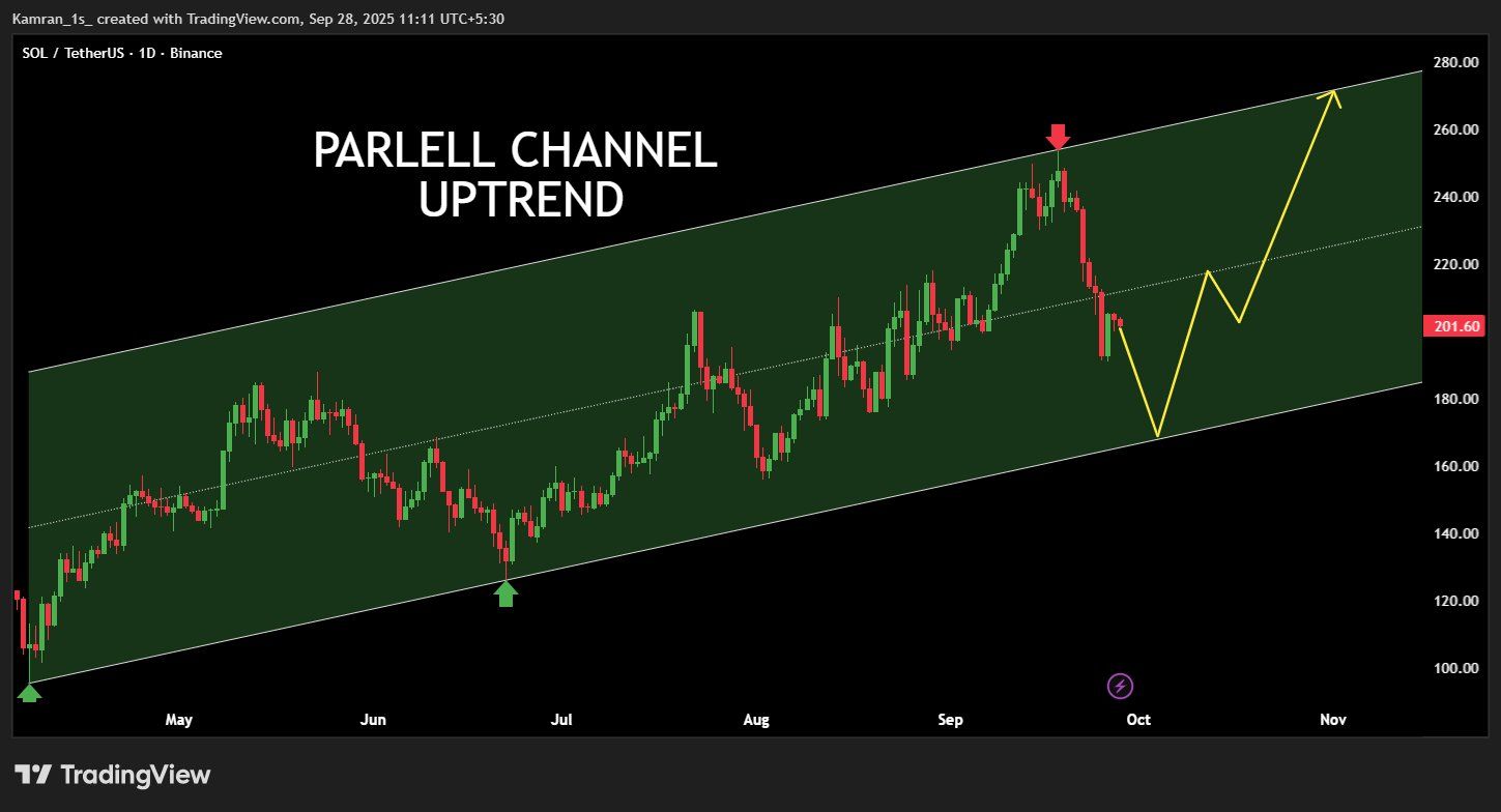 SOL в восходящем тренде в параллельном канале. Источник: NekoZ