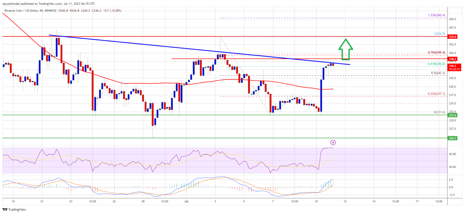 Harga BNB pada Level Make-or-Break Saat Bulls Bertujuan Besar Di Atas Resistensi Ini