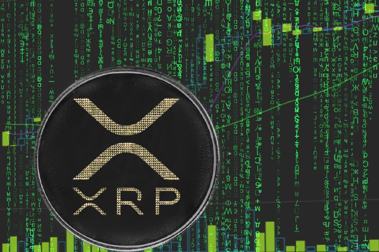 Evernorth CEO Explains Why XRP Price Lags Network Adoption