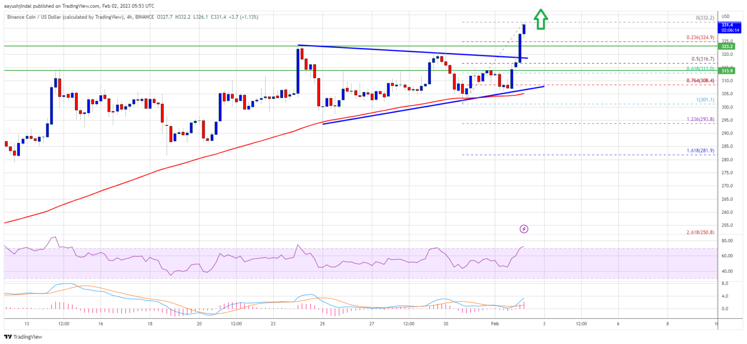 Harga BNB Melonjak Karena Gerbang Ke $400 Sekarang Dibuka