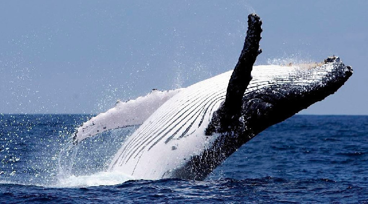 Активизация китов спровоцировала краткосрочный рывок биткоина выше $42 000