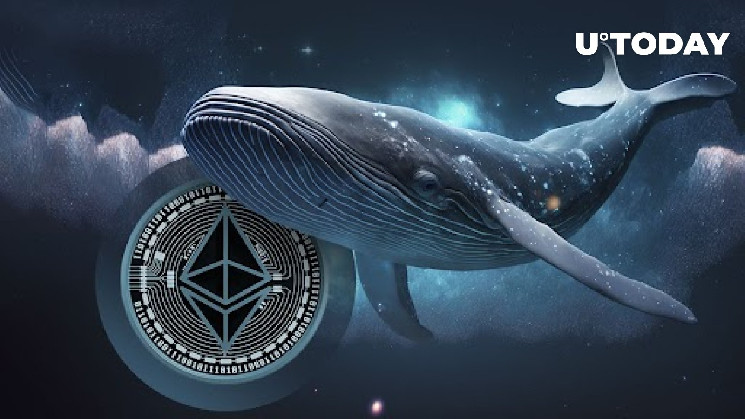 Ethereum Whale делает ставку на ETH в Brave Move, поскольку цена стремительно растет