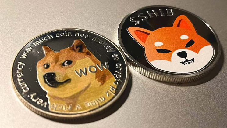 Криптокиты нарастили активность на рынках Dogecoin и Shiba Inu