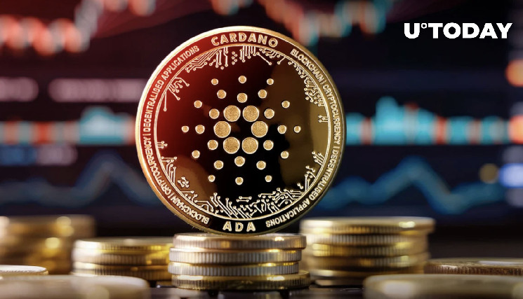 Cardano (ADA) возвращает себе место в первой десятке перед хардфорком Chang