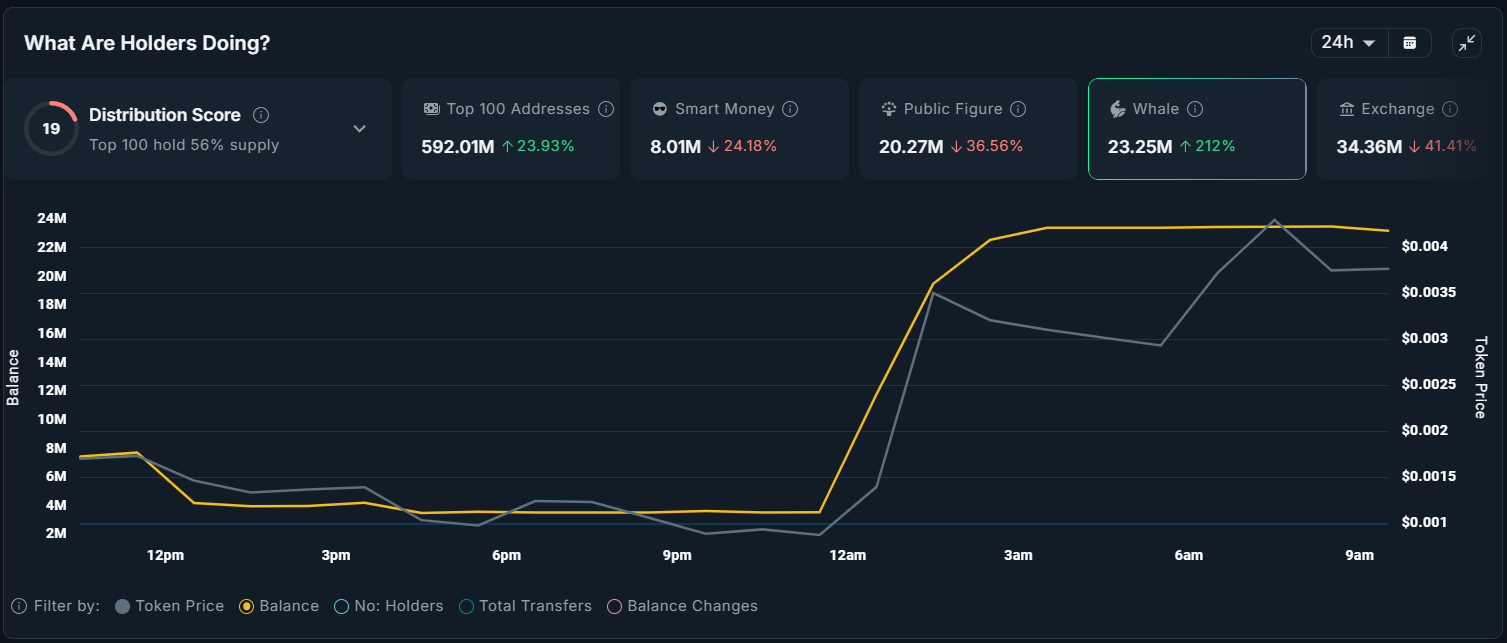 TURTLE Whale Holdings. 
