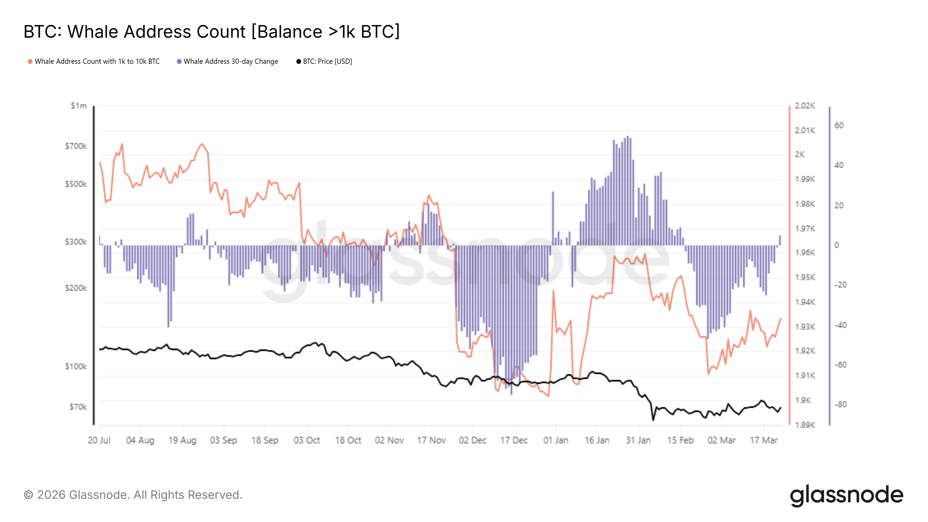 Bitcoin Whale Address