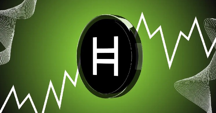 Nvidia интегрирует Hedera: токен HBAR растет, торговля взлетает на 215%