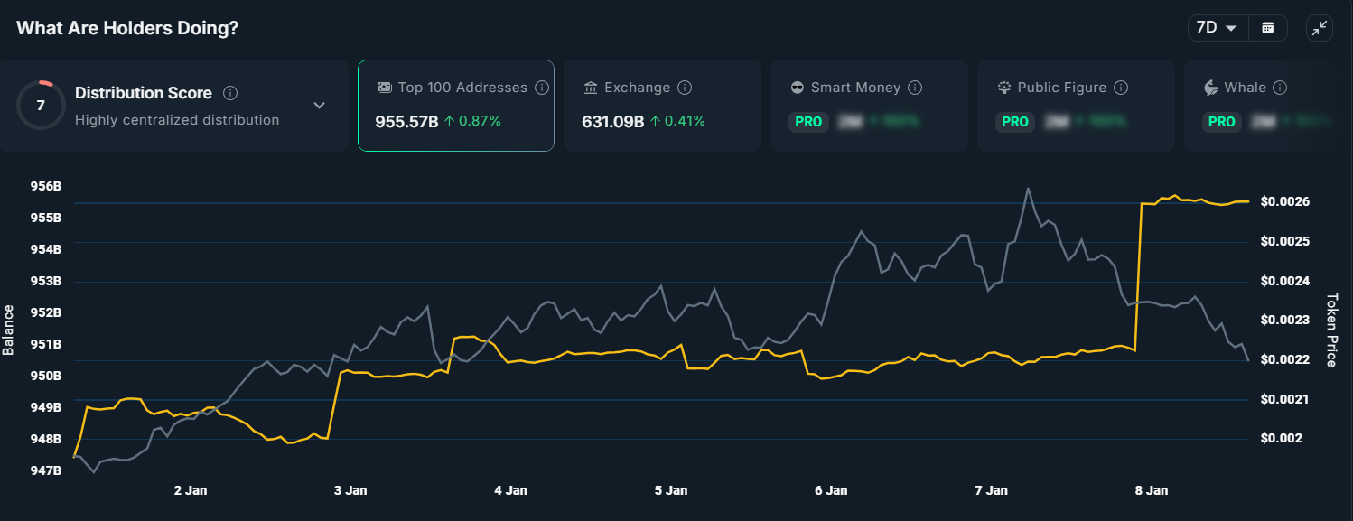 PUMP Top 100 Holders.