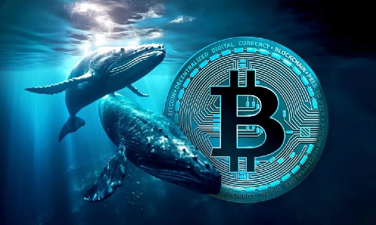 «Большие киты» продолжают продавать биткоин для фиксации прибыли «Большие киты» продолжают продавать биткоин для фиксации прибыли