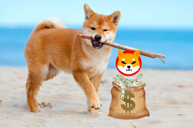  Shiba Inu      10 