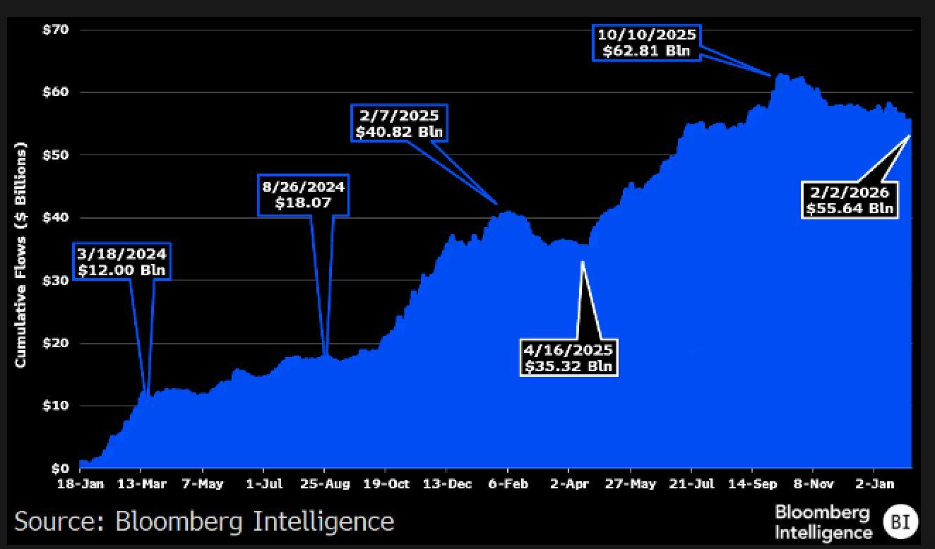 Kumulative Nettoflüsse der Bitcoin-ETFs erreichten 63 Mrd. USD, bevor sie auf 53 Mrd. USD fielen