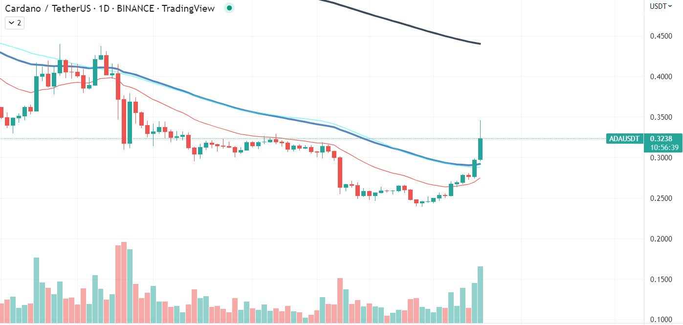 ADA Chart