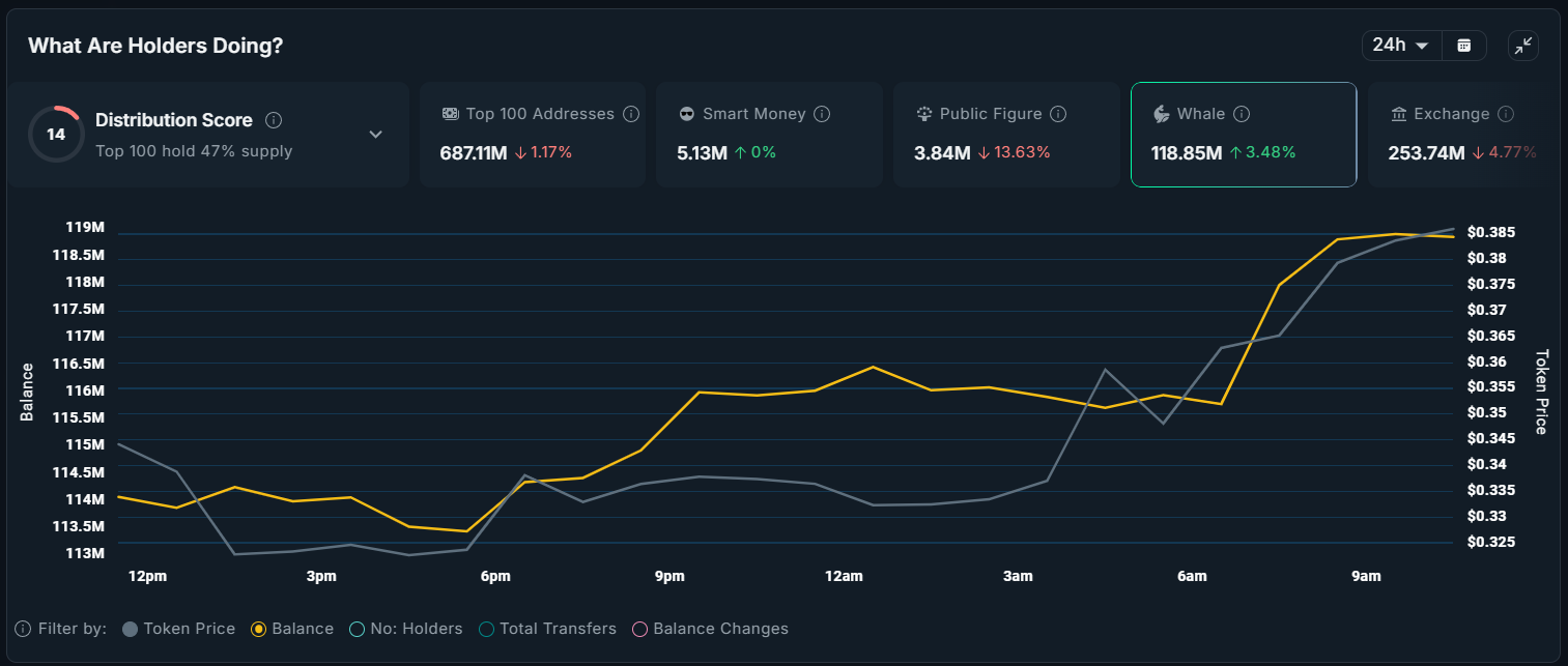 FARTCOIN Whale Holdings.
