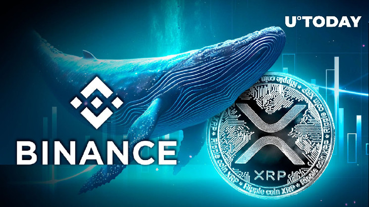 XRP Whale transfère des millions de jetons XRP vers Binance, voici pourquoi