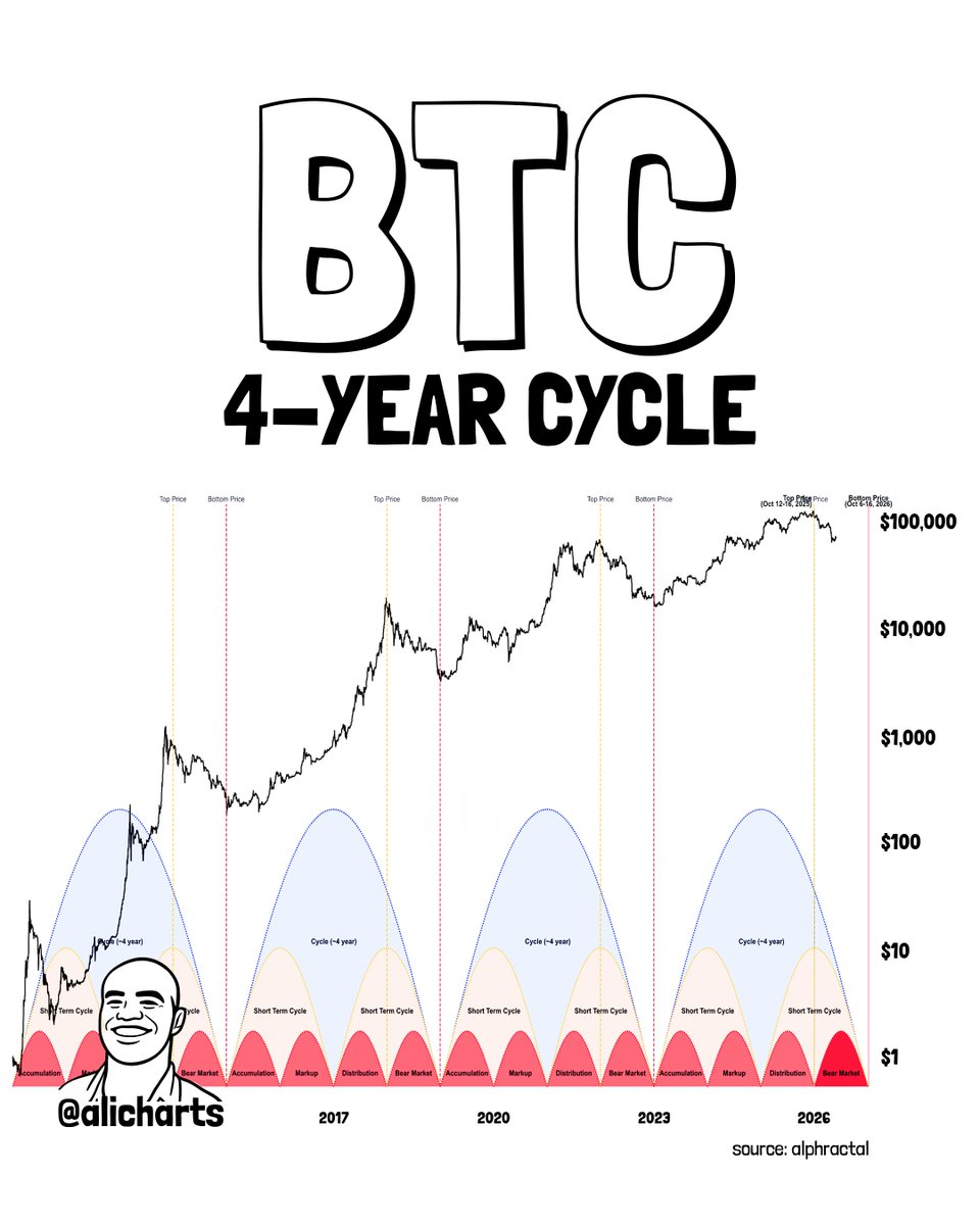 Bitcoin 4-Year Fractal/Ali Martinez