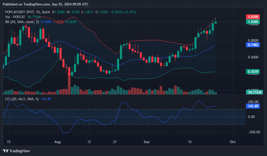 POPCAT hits all-time high as market cap surges past $1b - 1