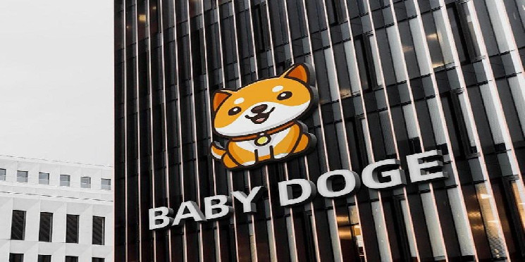 Предложение по контракту на токен Baby Doge по цепочкам Ethereum и BNB, вот и все