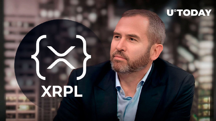 Генеральный директор Ripple высоко оценивает развитие сообщества XRP Ledger