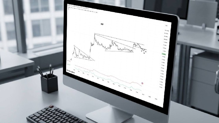Питер Брандт заявляет, что одни только графики XRP дают ему повод сделать ставку