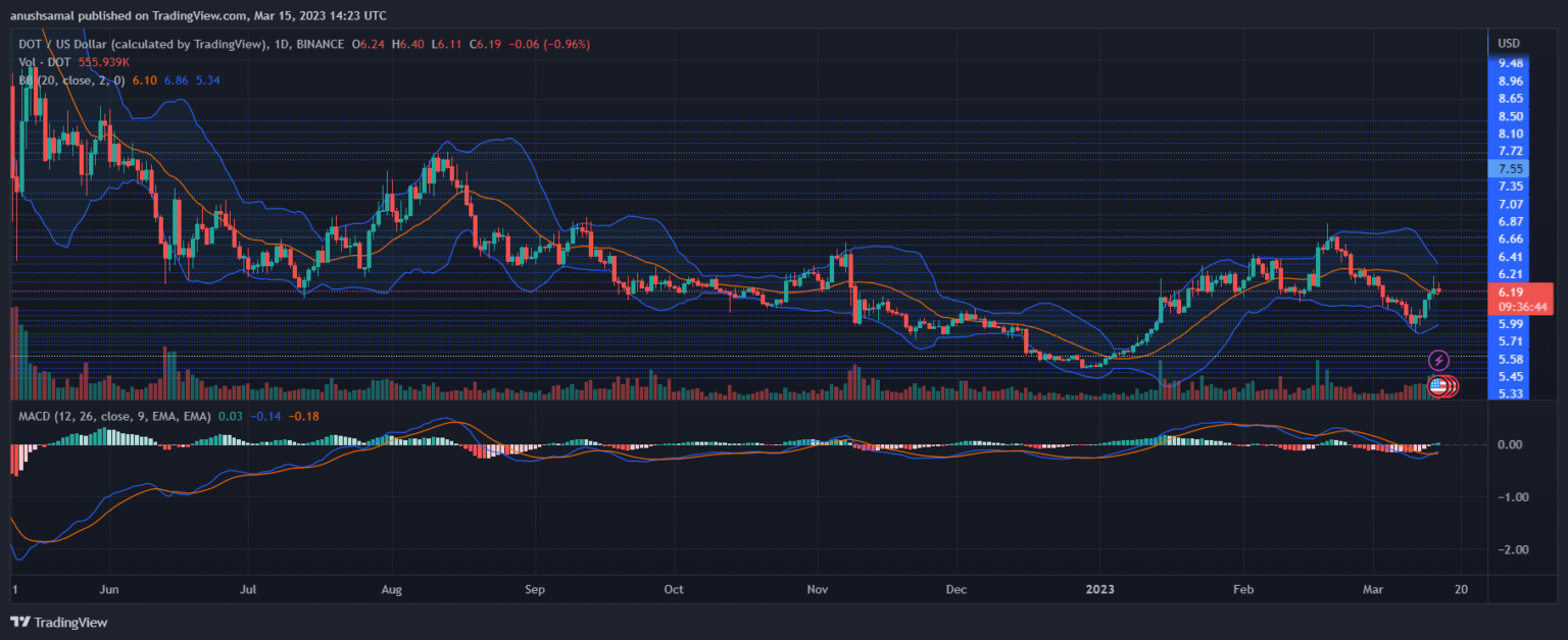 Polkadot Jatuh Ke Level Support Ini Sebelum Melanjutkan Uptrend