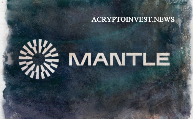 Mantle network