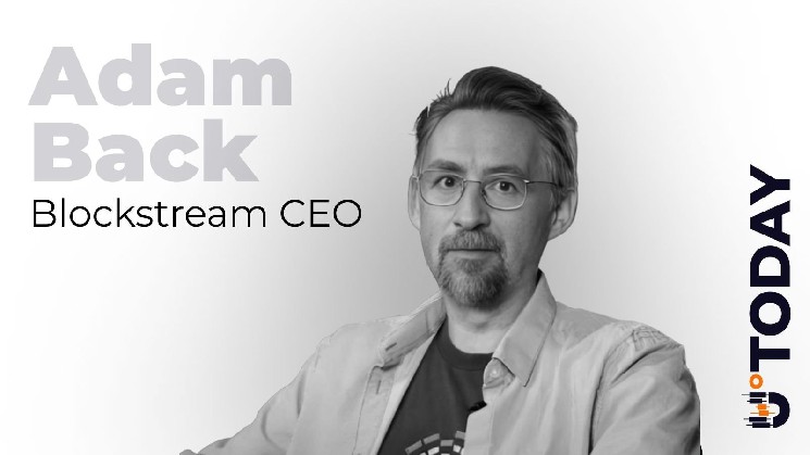 «Биткойн — это деньги на предъявителя, не требующие разрешения»: Адам Бэк