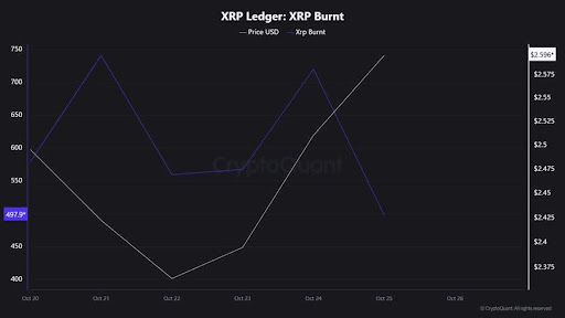 XRP Volatility Incoming? Ripple CEO Prepares Investors For What’s Next 4 4c6251c551a3bab9fa99ead854311152d106aeb4