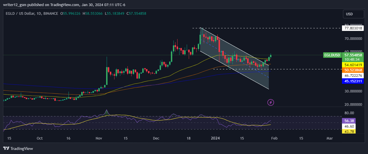 MultiversX Crypto Price Forecast: Will the EGLD Price Hit $80?