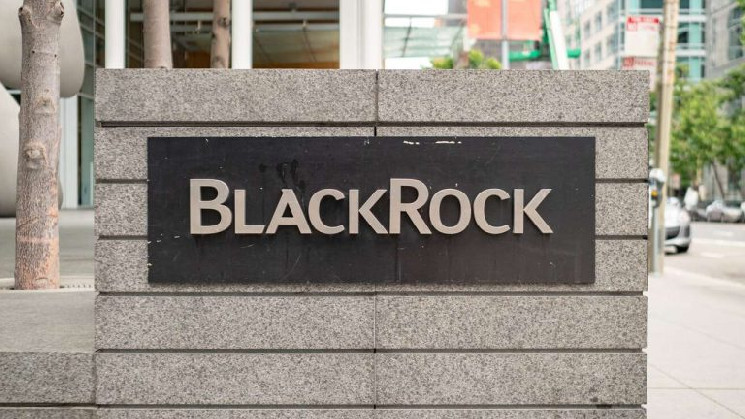 BlackRock’s BUIDL Token Fund Draws 5M, Trails Franklin Templeton