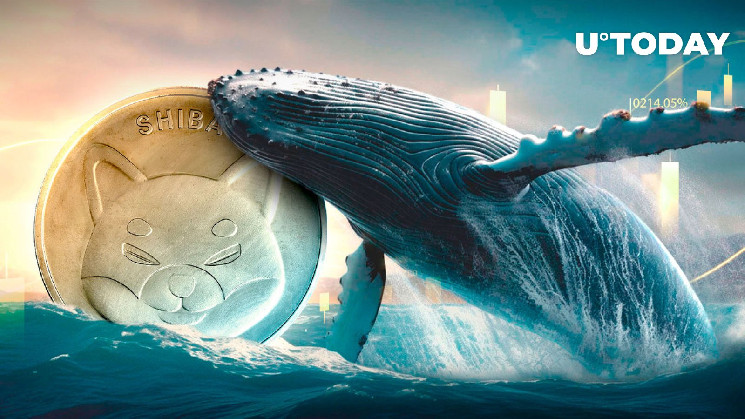 Таинственный кит выводит 1 миллион долларов из сиба-ину, поскольку целевая цена SHIB составляет 0,00003 доллара