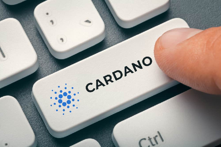 Cardano доминирует в объеме транзакций, поскольку комиссионные сборы за сеть BTC и ETH стремительно растут
