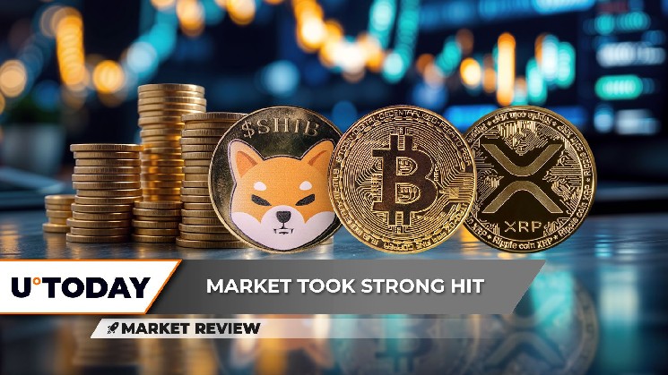 Shiba Inu (Shib): разбился сейчас, массивный биткойн (BTC) прыжок, xrp: рецепт за 3 доллара.