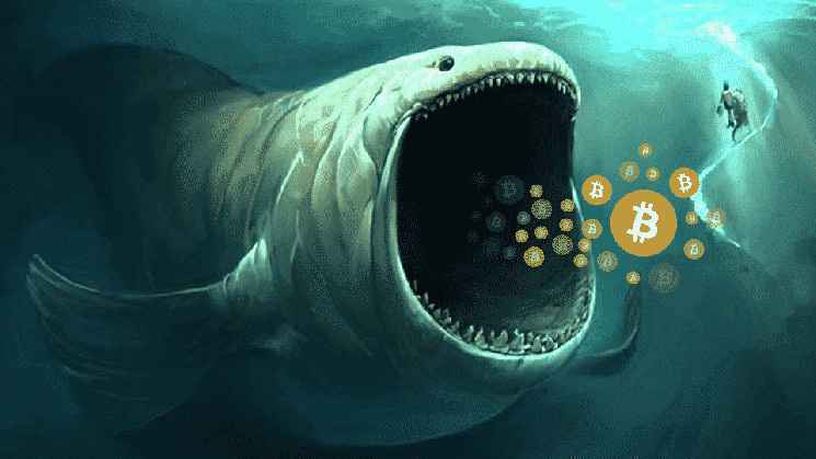 3rd largest bitcoin whale