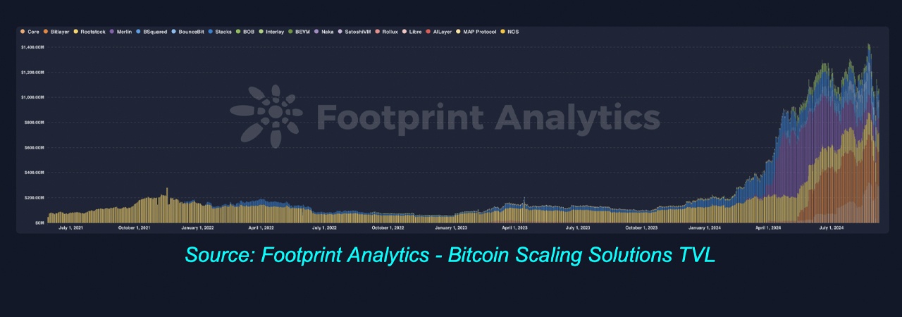 footprint2