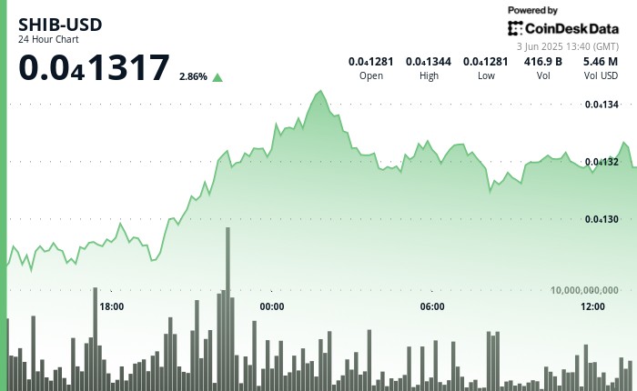 Shiba Inu Bull Momentum Limited после того, как покупатели предложили поддержку