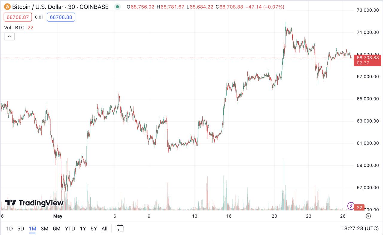 Bitcoin Kurs 1 Monat