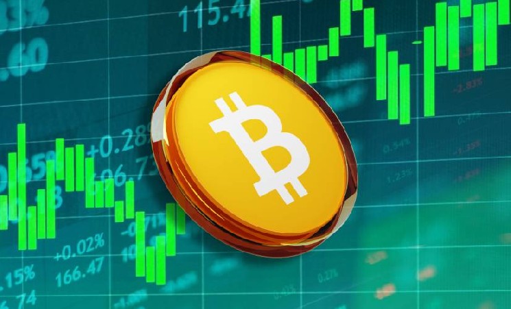 Bitcoin пробил $104 000 на фоне притока новых кошельков