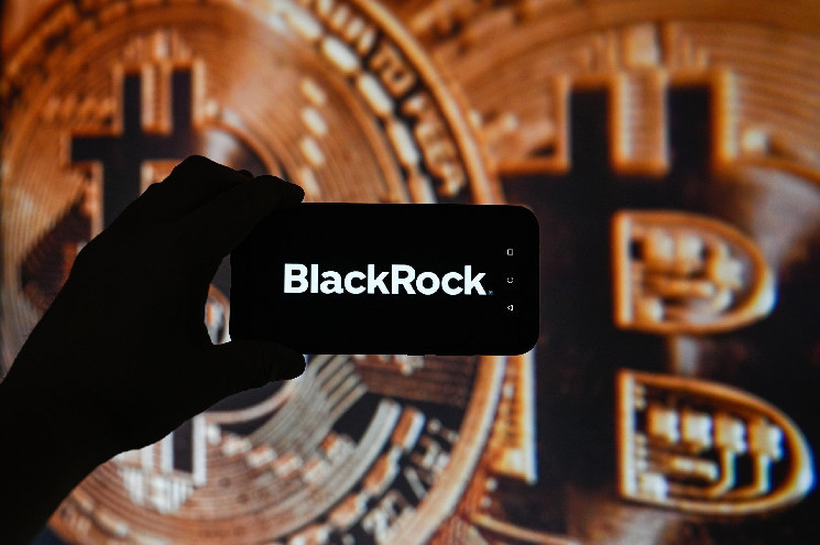 «Еще рано» — BlackRock раскрывает, что будет дальше после бума цен на биткойны и Ethereum ETF