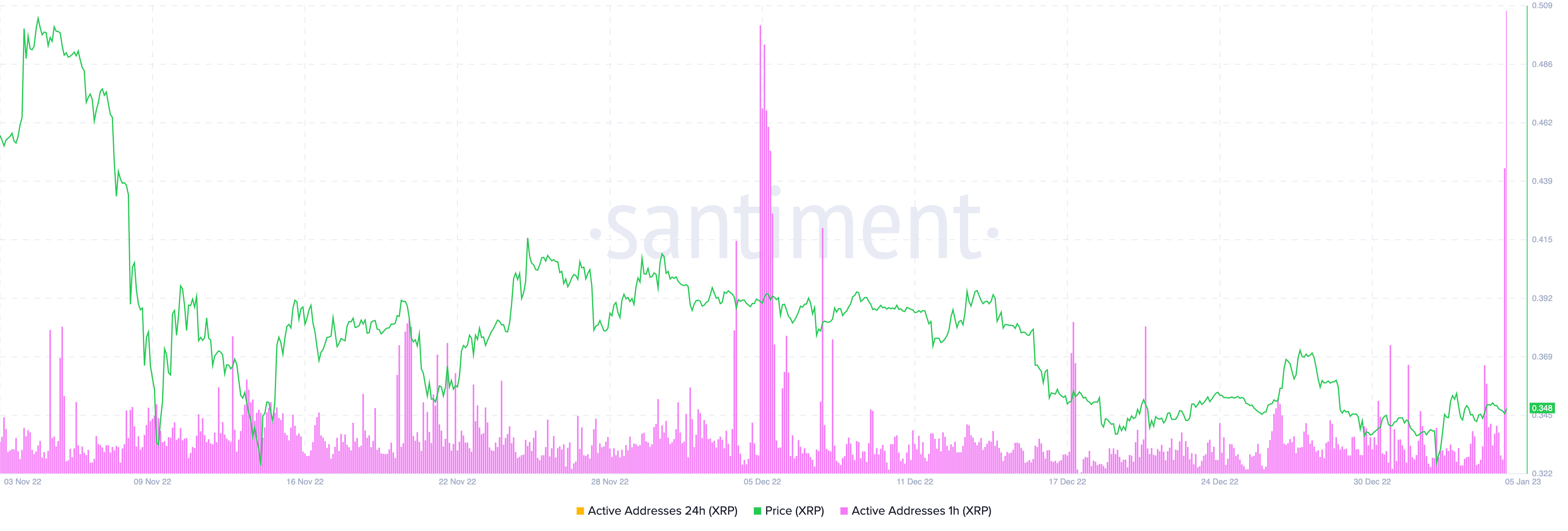 XRP 1-hour active addresses