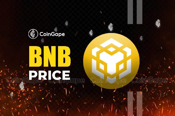 Цена BNB выросла на 3% на фоне последнего обновления спотовой торговли Binance