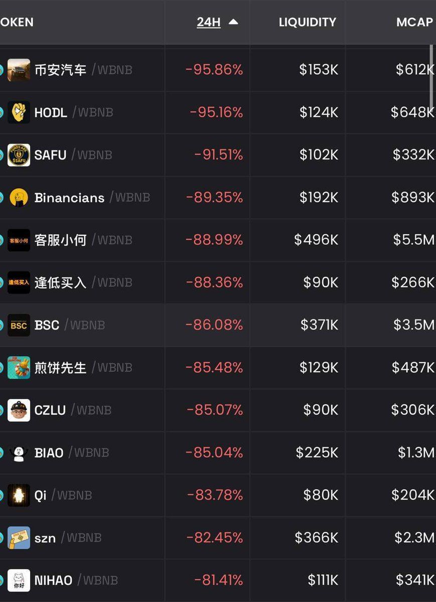 Screenshot of BNB meme token on DEX tracker. The 24-hour column shows a decline of more than -90%.