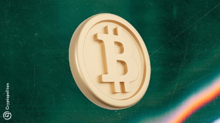 BTC Lifelity в 2025 году показывает тенденцию накопления