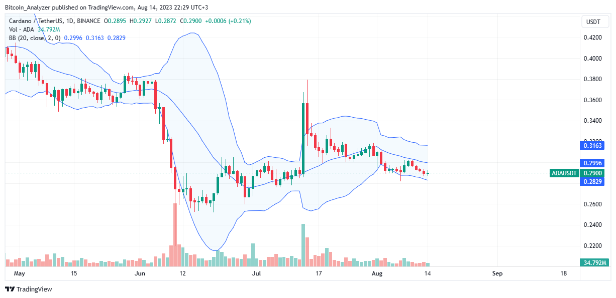 Cardano Whale Mengumpulkan dengan Cepat Cardano Masuk Bull Run?