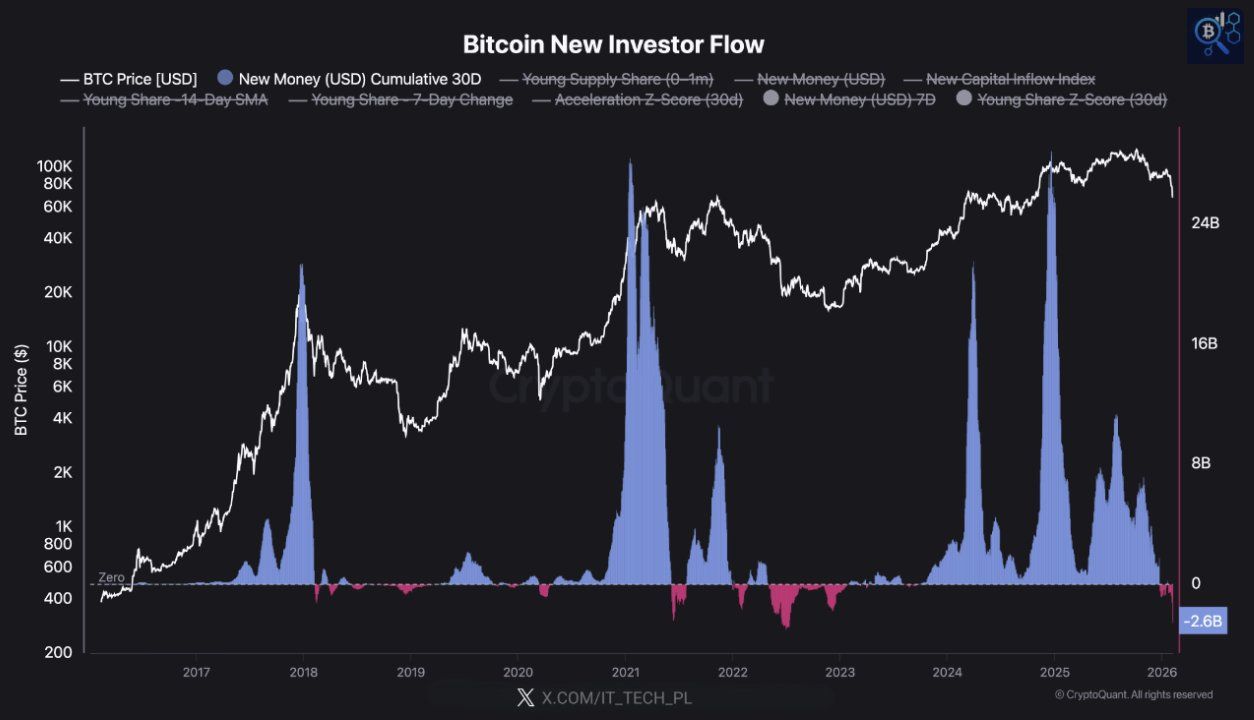 Bitcoin New Investor Flows Turn Negative