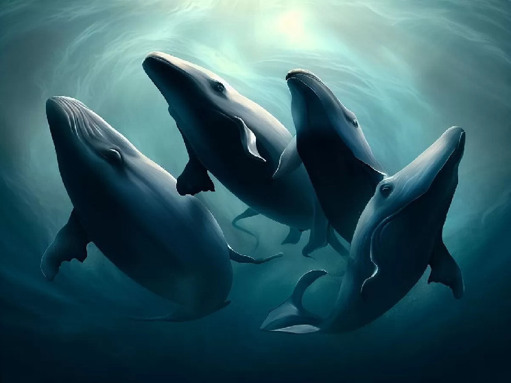 Данные Onchain показывают, что 4 огромных кита начали копить этот мемкоин