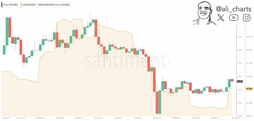 DOGE-whale-accumulation-chart-1024x490