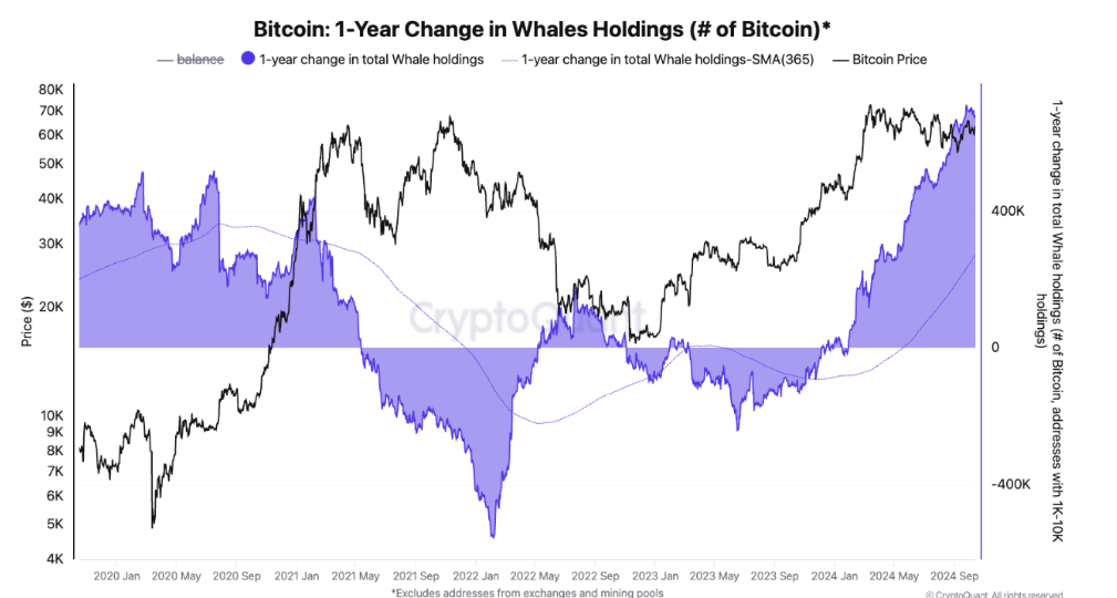 Bitcoin 1-Year Change in Whales Holdings chart. Source: CryptoQuant