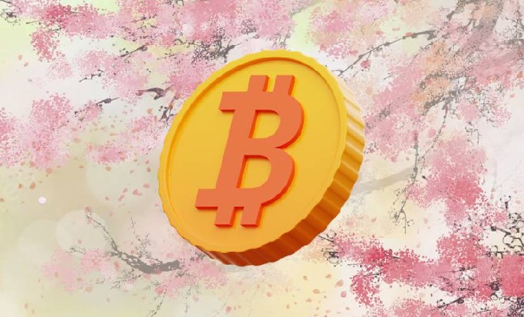 Японские биржи контролируют лишь не более 2% мировых запасов BTC Японские биржи контролируют лишь не более 2% мировых запасов BTC