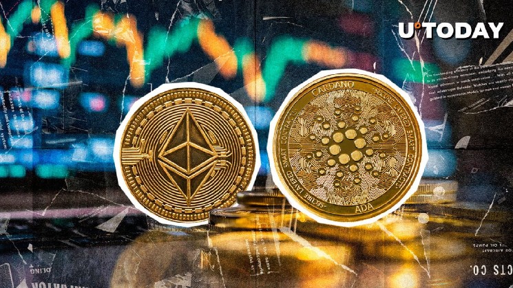 Ethereum и Cardano Lead Development Activity как Crypto Market Recounds
