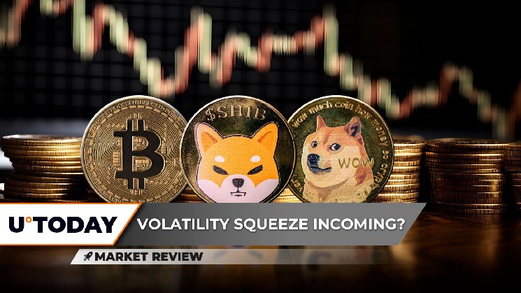 Биткойн (BTC) абсолютно сжимается, объем Shiba Inu (Shib) приближается к нулю, инвесторы Dogecoin (Doge) таяют